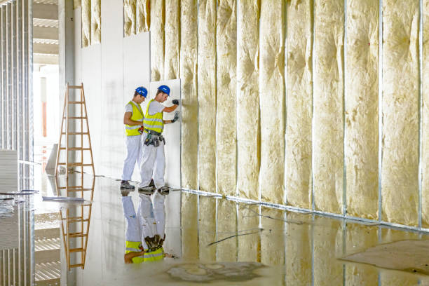 Best Energy Efficiency Insulation in Bowman, ND